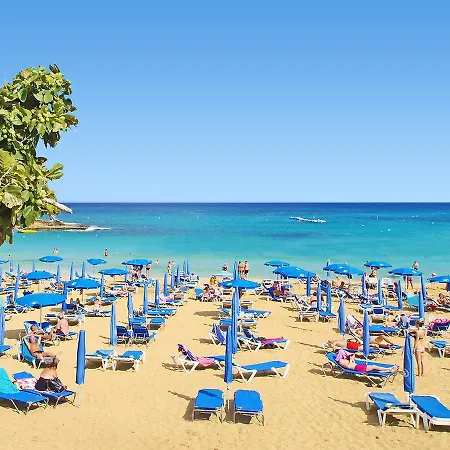 Holiday Cavkon5 *